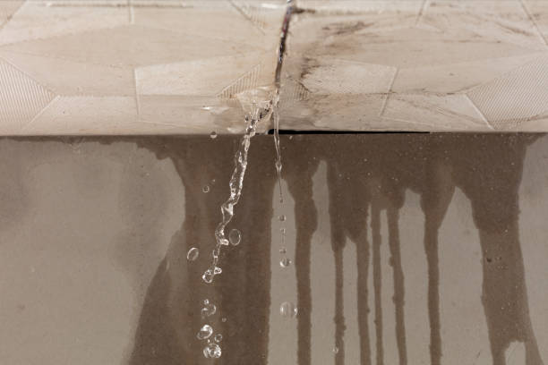 Professional Burst Pipe Cleanup technician working in Waring, TX